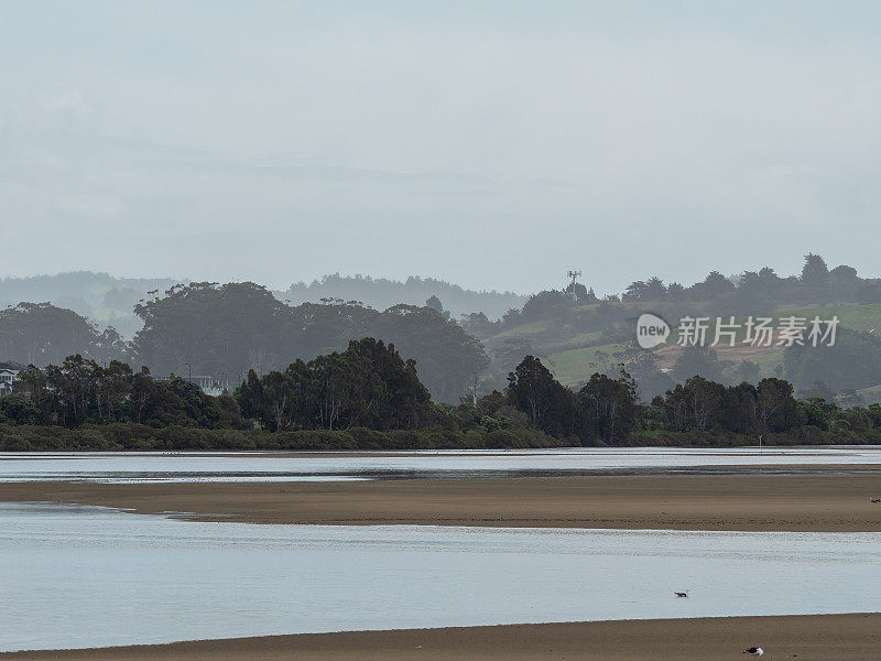 新西兰奥克兰的海湾和灌木丛