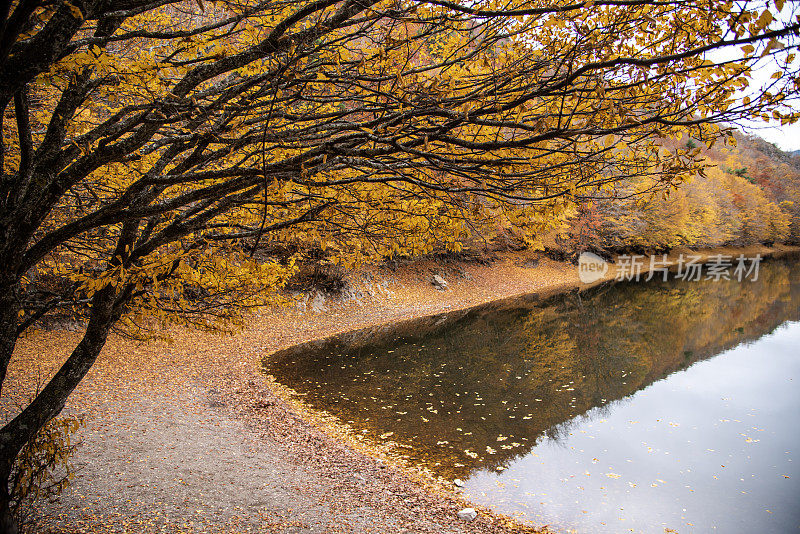 森林之家的美丽秋色和Boraboy湖的倒影，就像墙纸一样