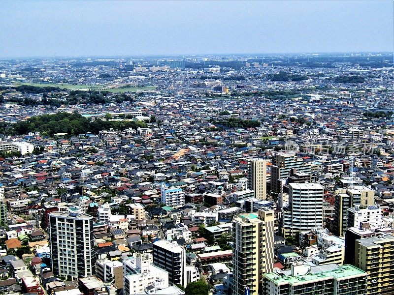 日本。8月。东京郊区市川的鸟瞰图。