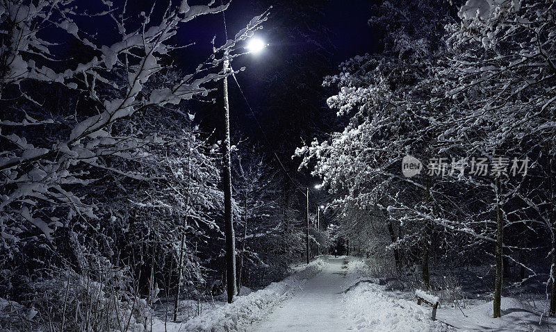 冬天的风景。森林中间的步道和一盏路灯。暮光。