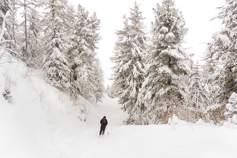 孤独的滑雪者穿越美丽的白雪覆盖的树木，在法国乡村享受大自然的孤独和美丽。