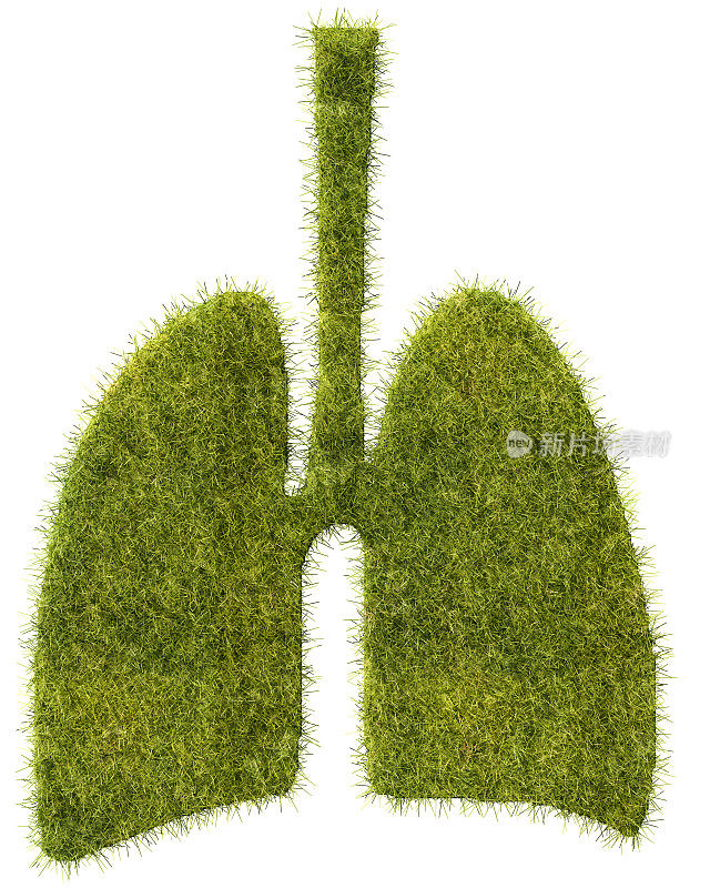 绿色肺概念。一块人肺形状的草。白色背景隔离