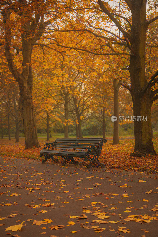 伦敦摄政公园的秋天宁静
