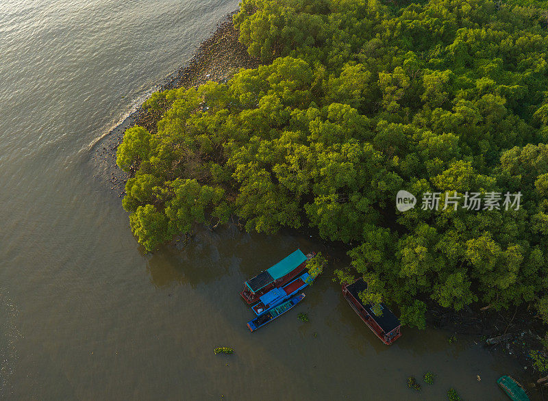 天江省冲积海岸红树林航拍摘要