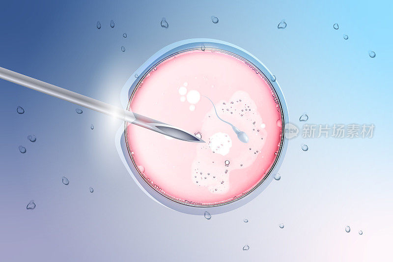 体外受精。体外受精。显微镜下的细胞