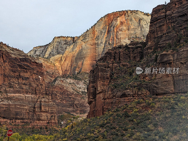 在犹他州锡安国家公园的风景大道上，沿着维珍河在哭泣的岩石后面升起的山和秋天的颜色