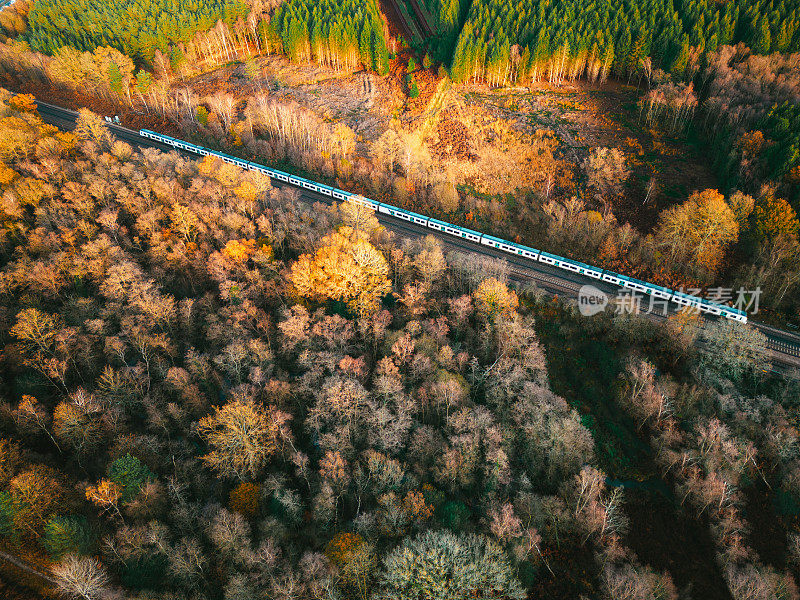 旅客列车在秋季森林景观中的鸟瞰图