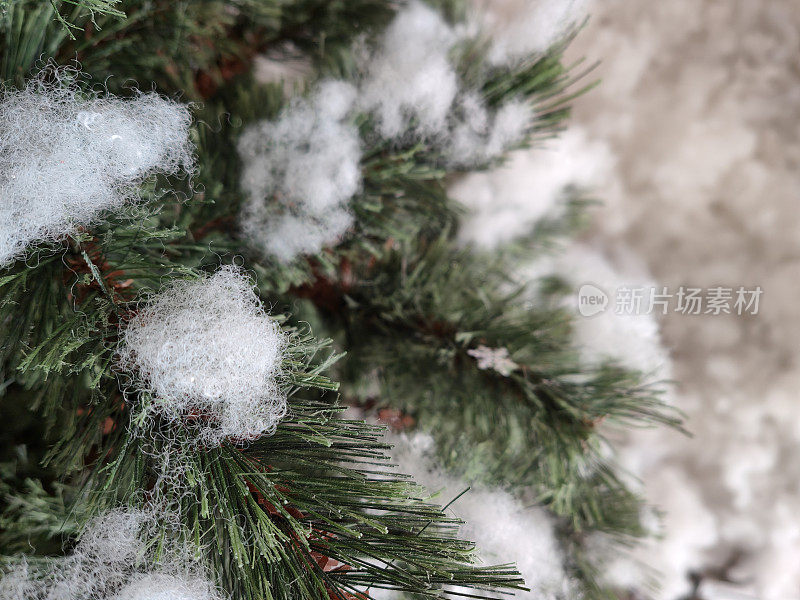 白雪覆盖的圣诞树