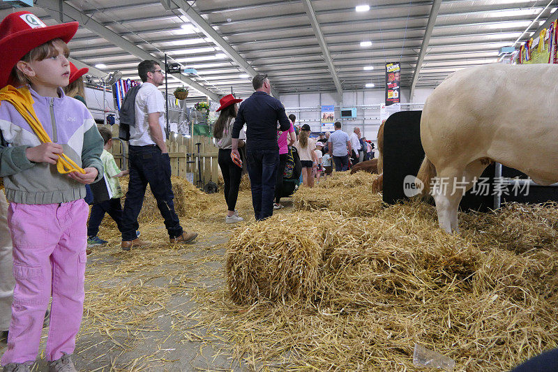 在北爱尔兰唐郡举行的巴尔莫勒尔展农业食品活动上的参观者