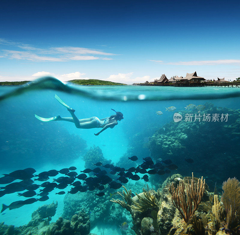年轻女子浮潜珊瑚礁在热带海洋