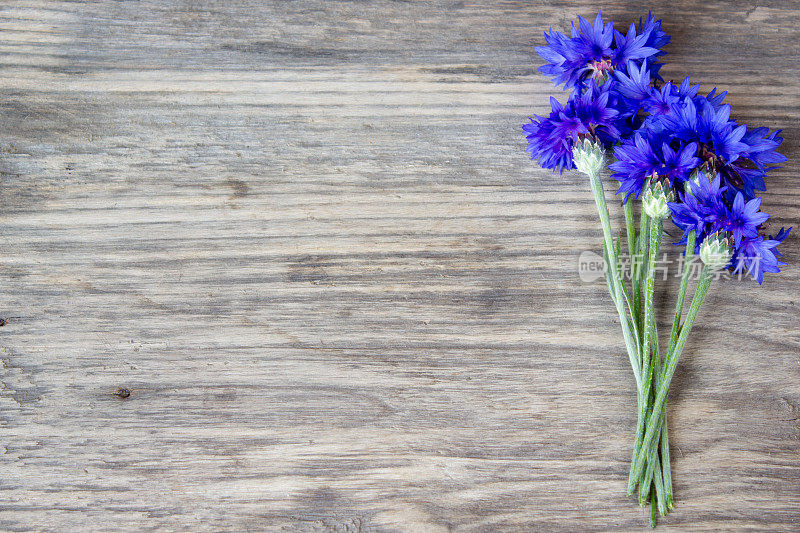 旧木桌上放着矢车菊花，带着质朴的拷贝空间