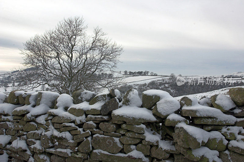 雪覆盖的手工建造的农场干石墙，约克郡，英格兰