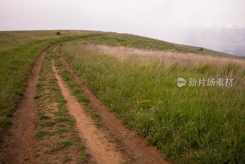 穿过迷雾和草丛