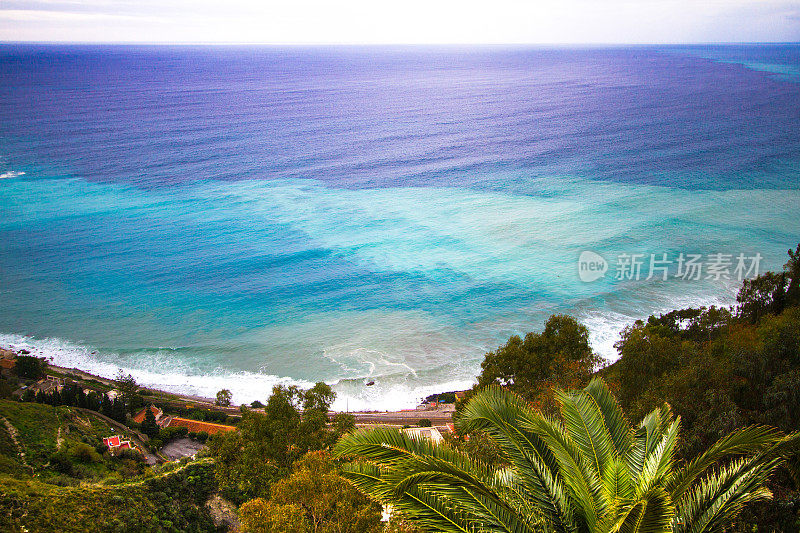 陶尔米纳:地中海绿松石海景，棕榈树在前景