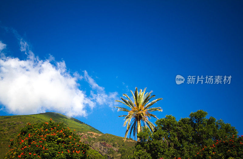 萨利纳，西西里:绿色火山，棕榈，蓝天，云的全景