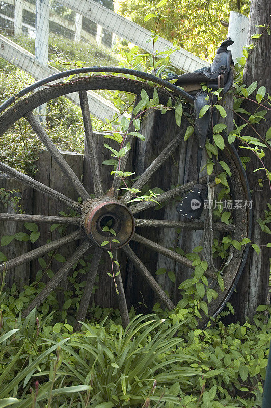 古董木制马车或马车轮子