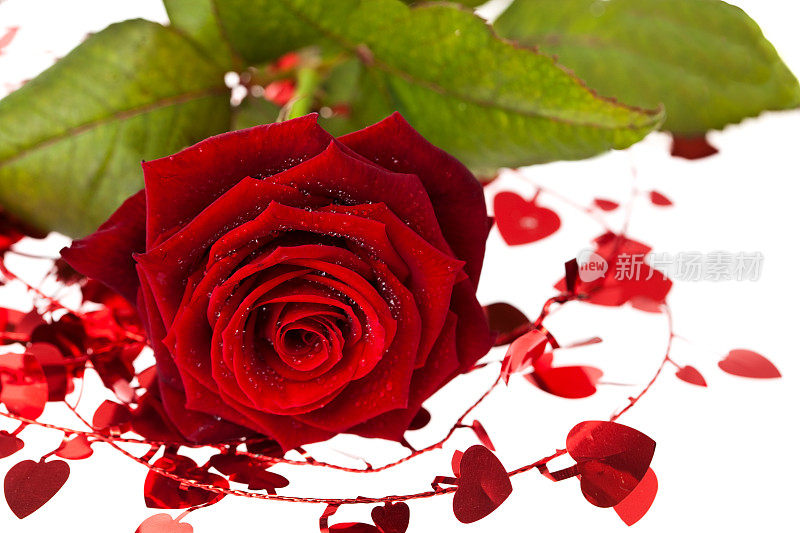 红玫瑰和心形装饰