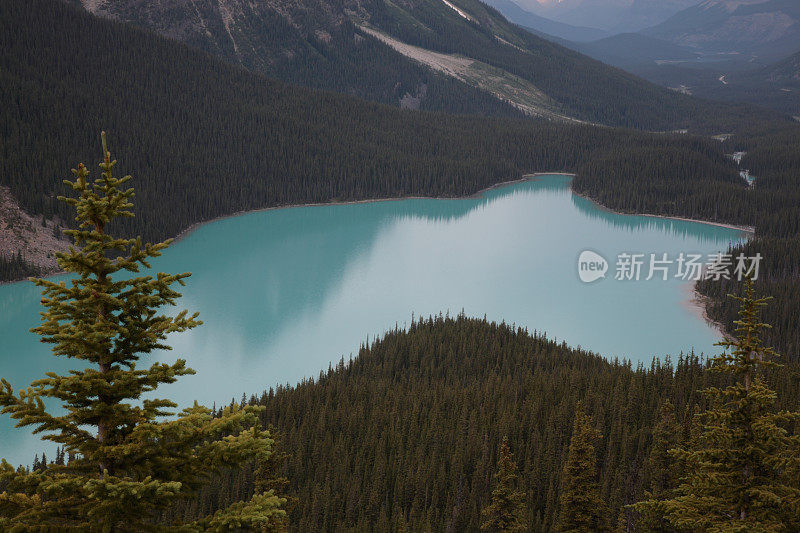 加拿大落基山脉的佩托湖