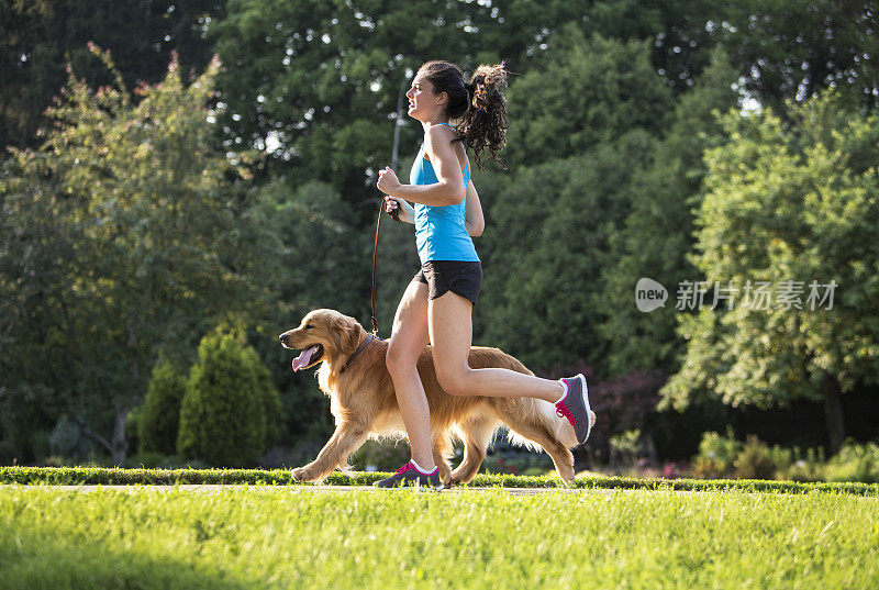 慢跑者和金毛寻回犬在铺好的小径上奔跑。