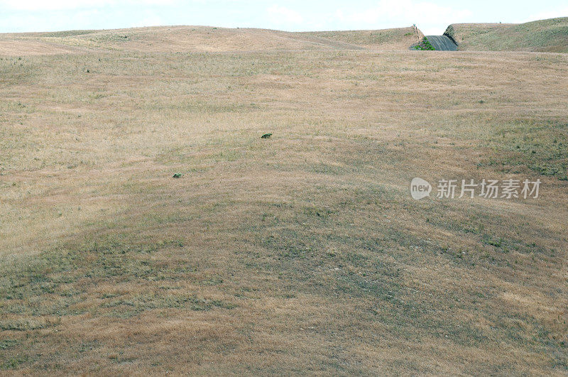 华盛顿州东部长满草的山丘上的砾石路