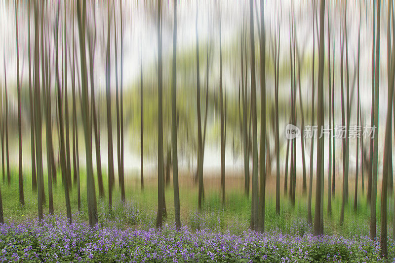 花树林