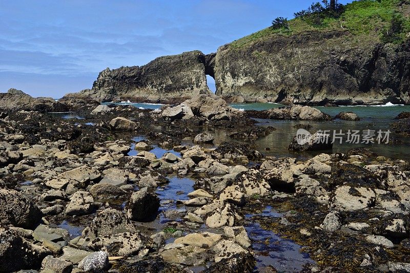 奥运海藻湾