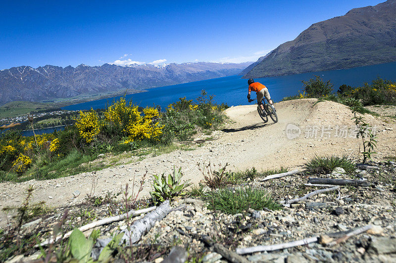 新西兰皇后镇自行车道上的山地自行车骑手