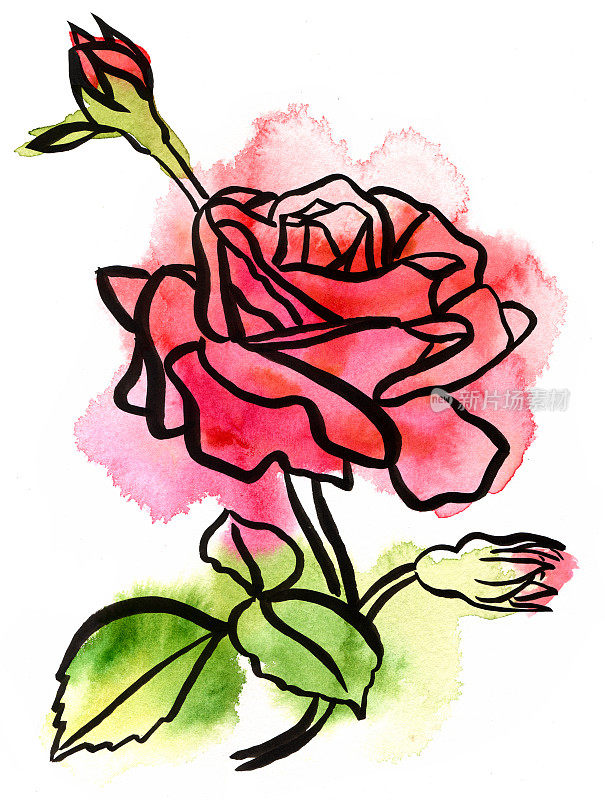 白色玫瑰枝写意水墨水彩画