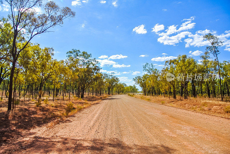 在偏远的澳大利亚内陆，桉树间的土路