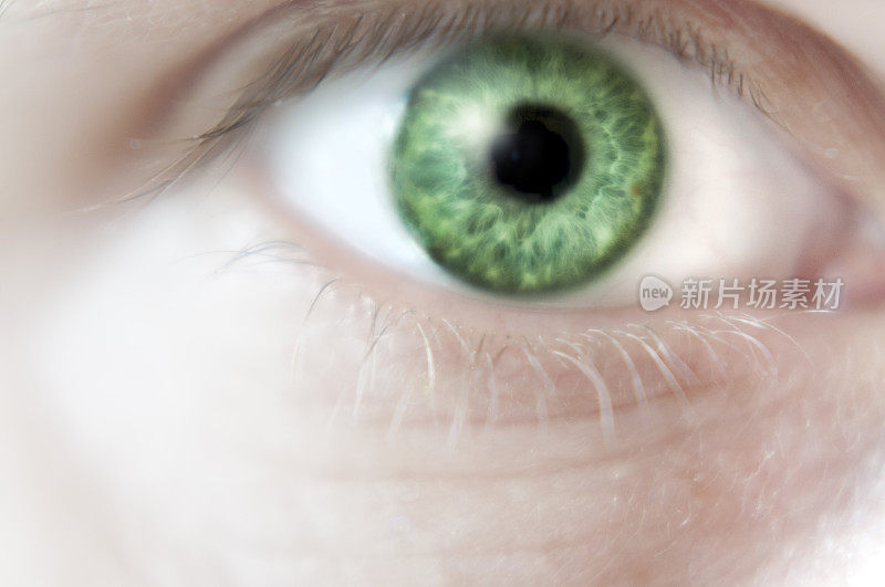 绿色眼睛的特写