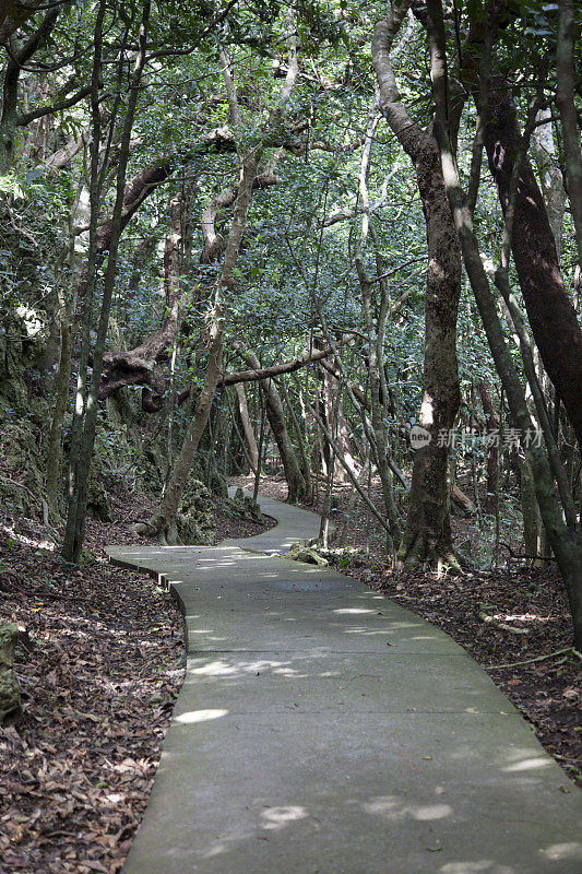 台湾垦丁森林游憩区步道