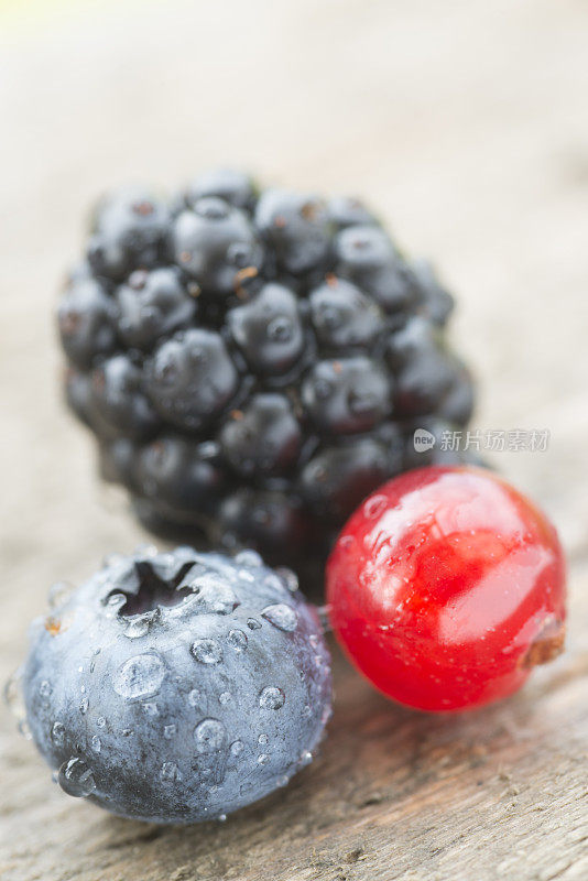 蓝莓，黑莓，红醋栗