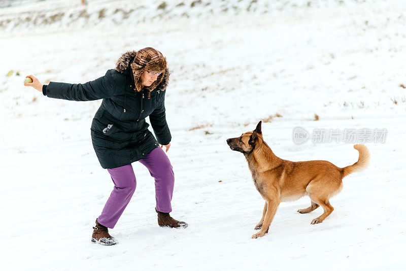 一个成熟的女人和她的比利时牧羊犬在雪中玩耍