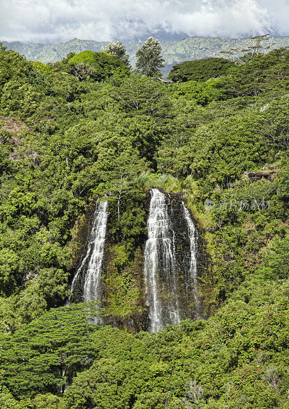 夏威夷考艾岛奥佩卡瀑布的照片