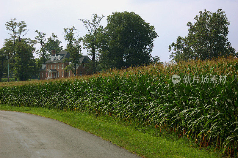 乡村的小路上