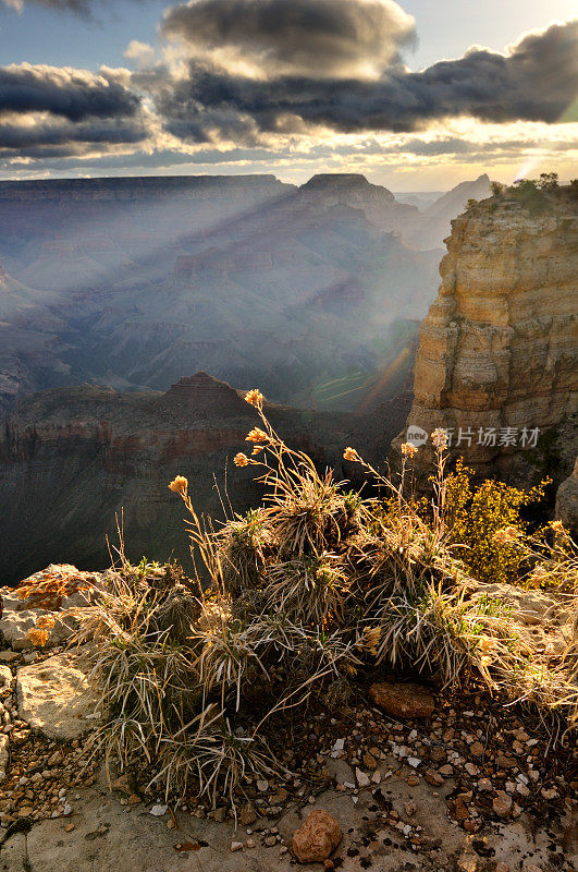 大峡谷国家公园清晨的风景