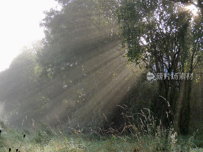 太阳光