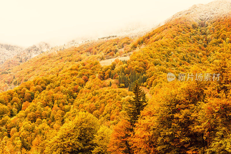 喀尔巴阡山脉的秋天