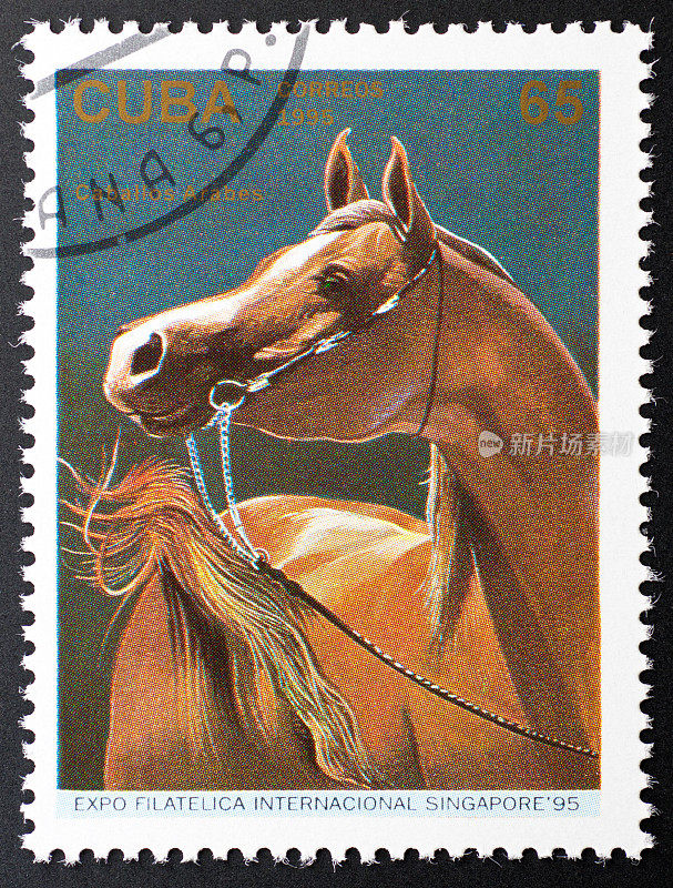 动机邮票古巴-阿拉伯马