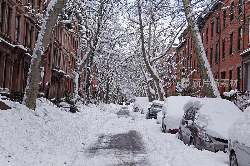 布鲁克林大街上有暴风雪