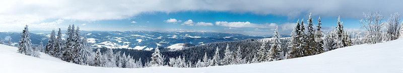 神奇的冬季景观。蓝色的天空。喀尔巴阡、乌克兰、欧洲。美丽的世界。