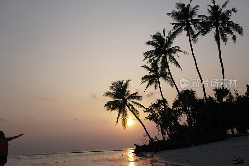 日落后的椰子树，马尔代夫岛