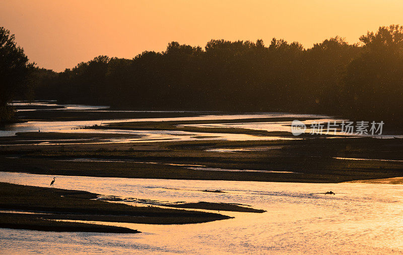 日落时分的普拉特河和苍鹭