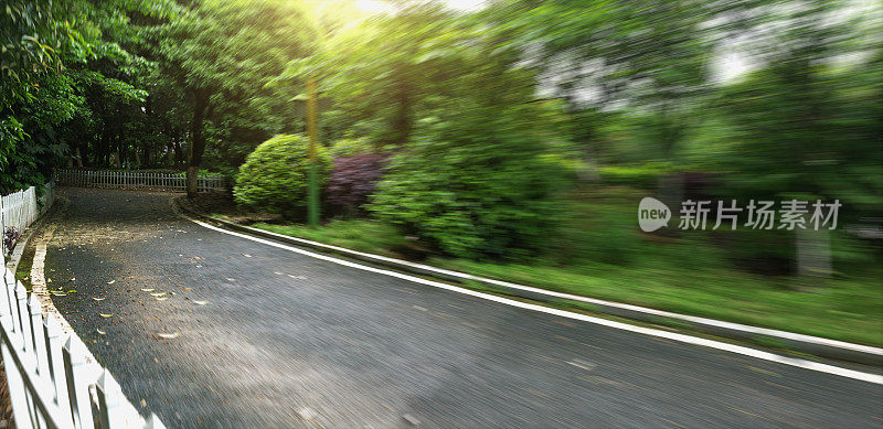 柏油路与树木在动态模糊