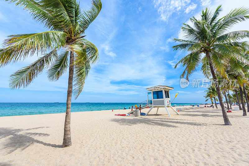 佛罗里达劳德代尔堡的天堂海滩，一个美丽的夏日。热带海滩与棕榈树在白色的海滩。美国。