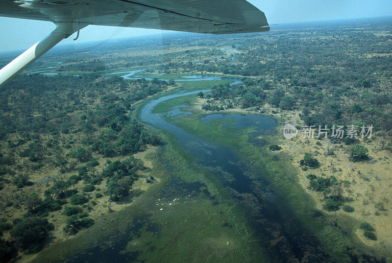 空中奥卡万戈三角洲湿地博茨瓦纳莫雷米野生动物保护区小型飞机