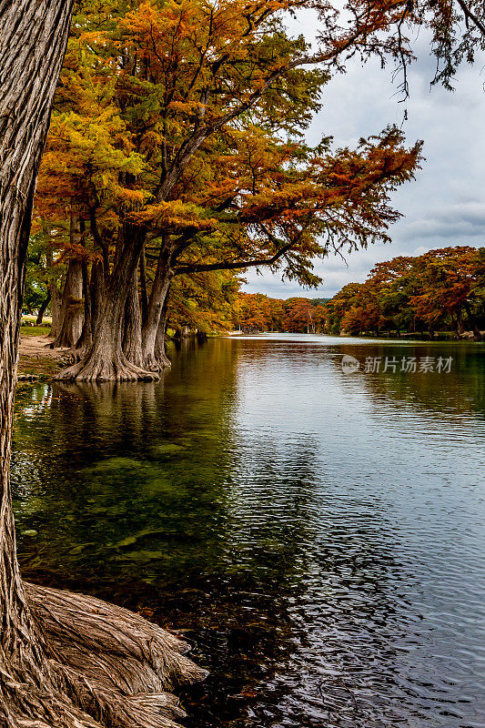 德克萨斯州加纳州立公园的秋天树叶