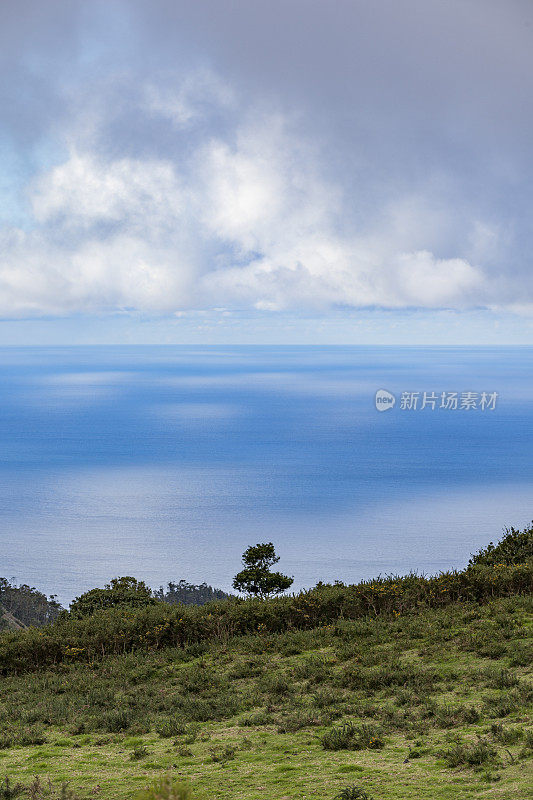 马德拉岛的海岸线