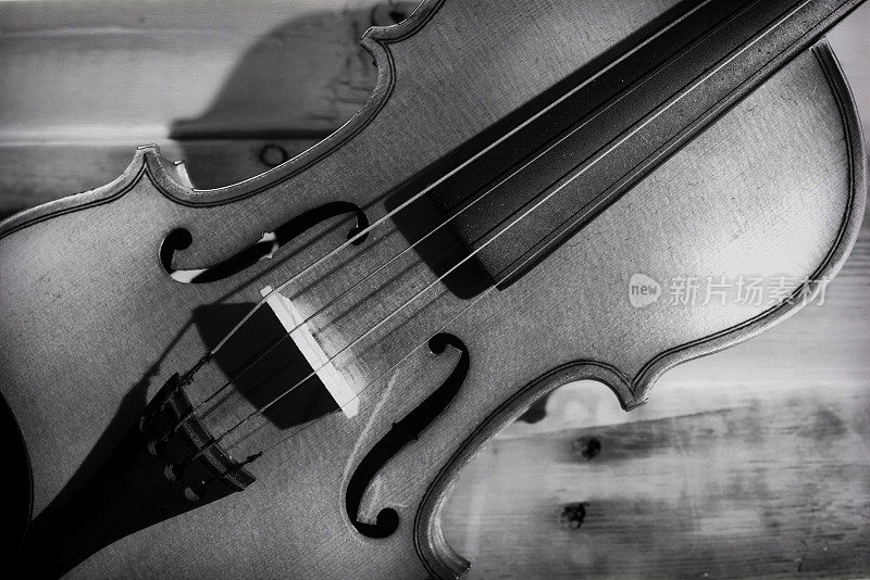 黑色和白色的小提琴特写。