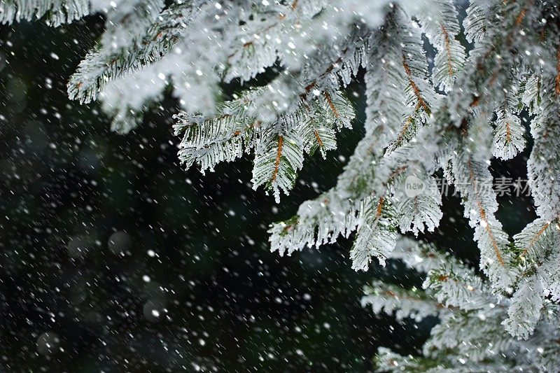 圣诞节的背景是冬天下雪